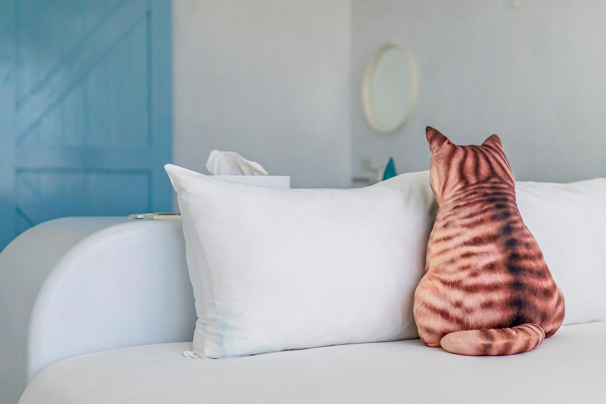 南湾 Cat At Greece Bed & Breakfast エクステリア 写真